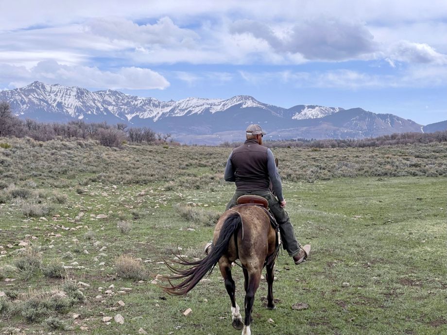 Telluride horseback riding