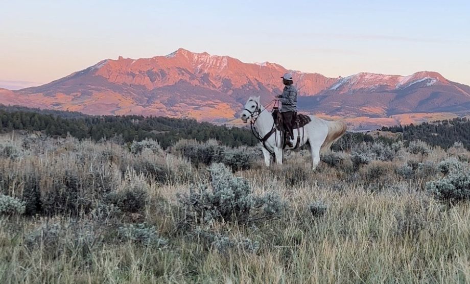 telluride horseback adventures